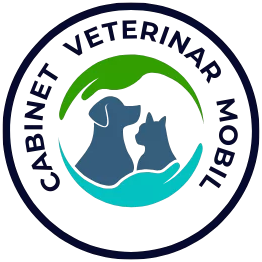 Pensiune animale Sibiu – ghiduri, sfaturi și cazare câini și pisici | Articole despre pensiune animale în Sibiu. Ghiduri utile, cazare câini și pisici, sfaturi practice și informații despre îngrijire și prețuri.